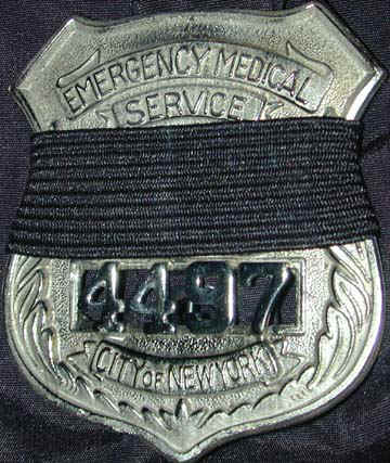 badge.jpg (61105 bytes)