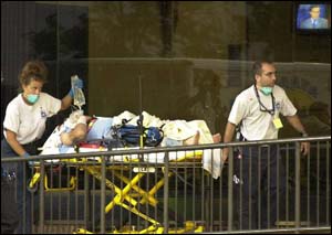 14_APstretcher.jpg (19023 bytes)