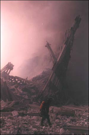 14_PMffruin2.jpg (19890 bytes)