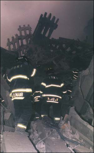 14_PMffruin3.jpg (24811 bytes)